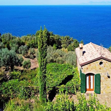 Bellezza In Cilento Panoramic Apts Castellabate Εξωτερικό φωτογραφία