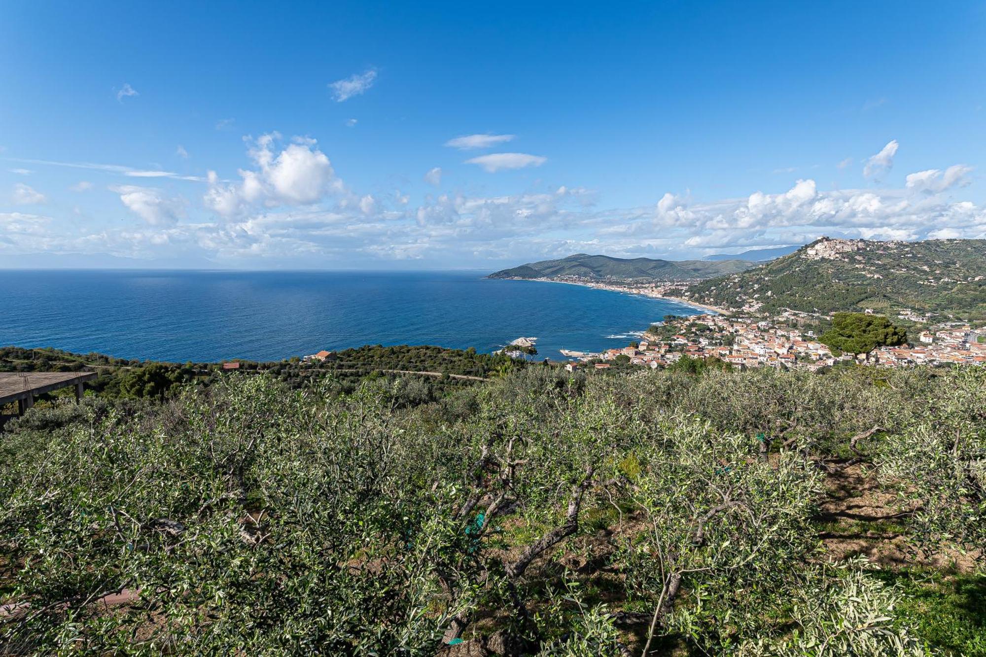 Bellezza In Cilento Panoramic Apts Castellabate Εξωτερικό φωτογραφία