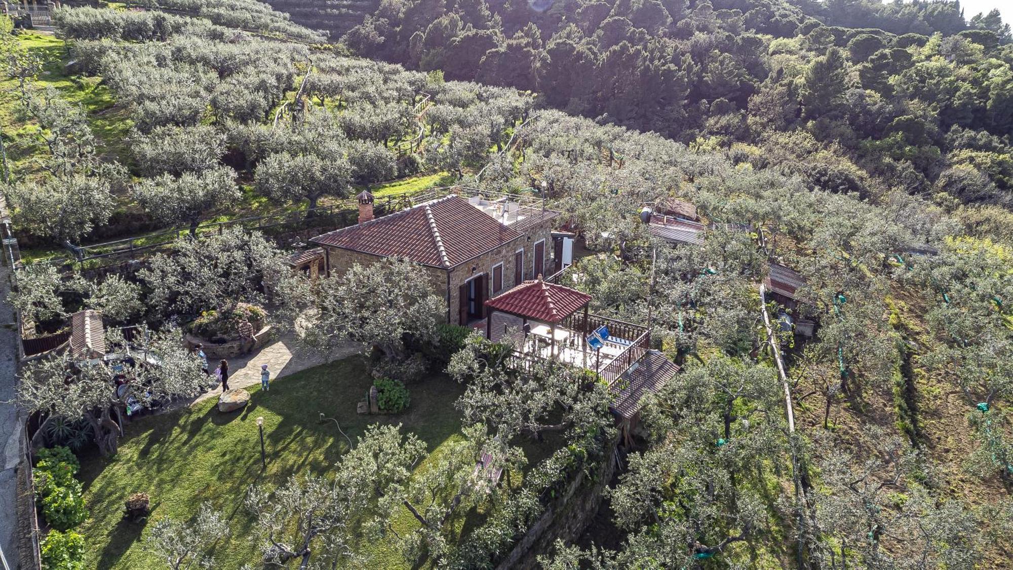 Bellezza In Cilento Panoramic Apts Castellabate Εξωτερικό φωτογραφία