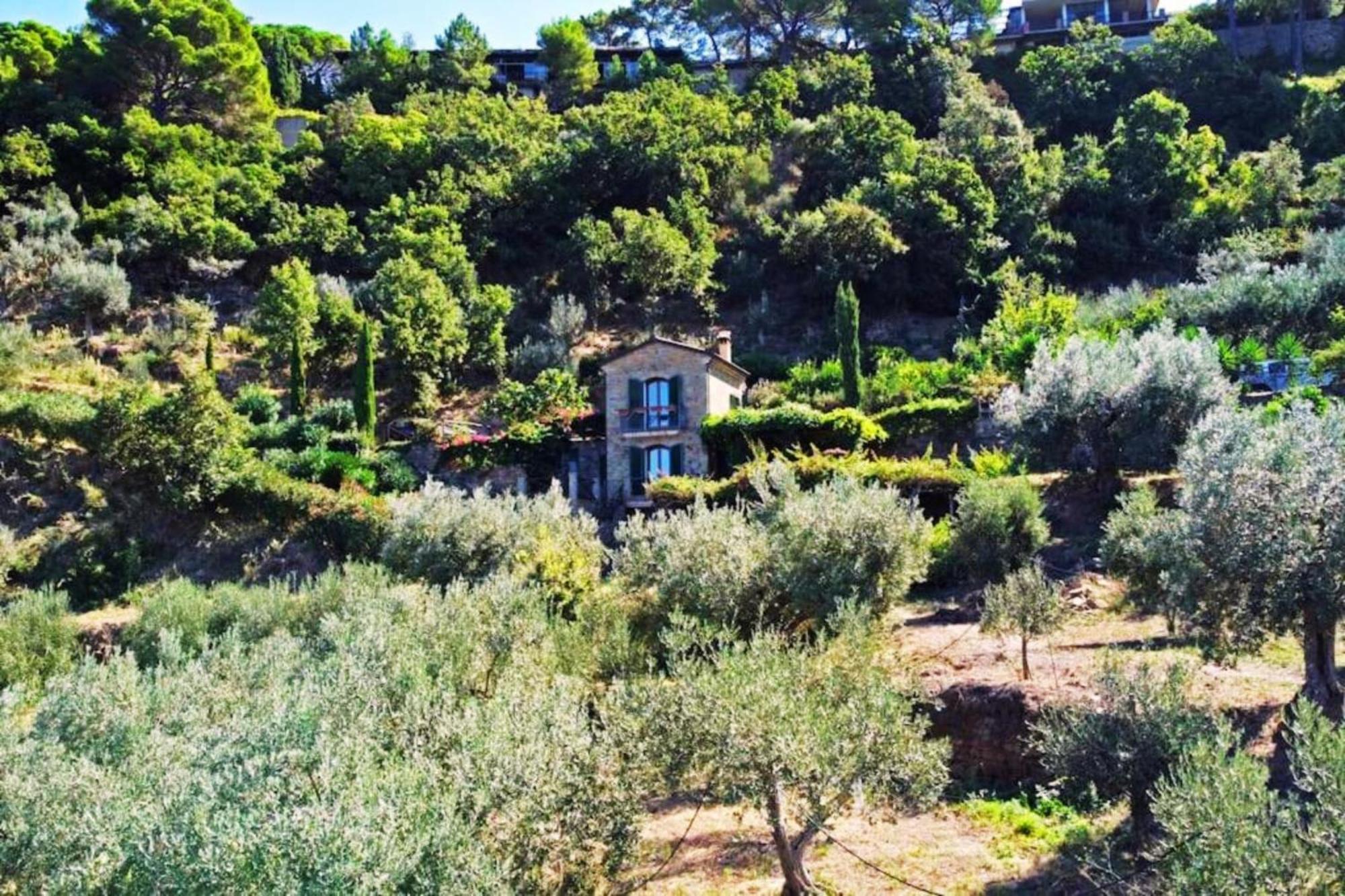 Bellezza In Cilento Panoramic Apts Castellabate Εξωτερικό φωτογραφία